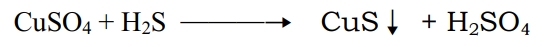 (cuso4+h2s)