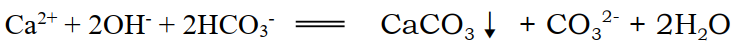 ca2++2oh-+2hco3-